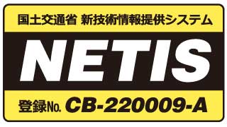 NETIS CB-220009-A
